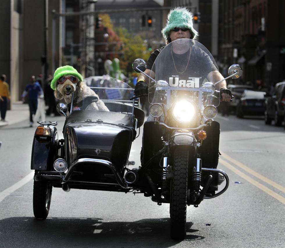 Last day of June ... new month new adventures #summerfun #motorcycle #dog