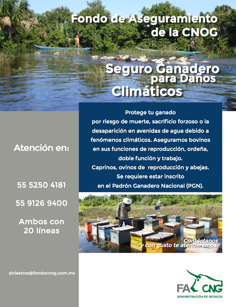 Amigo productor ¿Sabes qué es el Seguro Ganadero para Daños Climáticos?