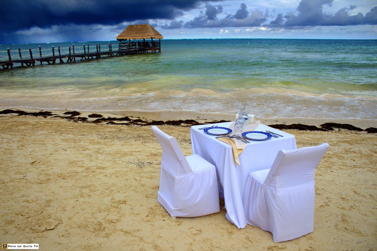 PataDeGatoTV's tweet photo. ¡Claro que #DisfrutoCaribeMX: tiene los restaurantes y sitios de #bodas con la mejor vista! ¿tú como lo disfrutas? ¡Último día! #fotografia https://t.co/r1olxWWv9w