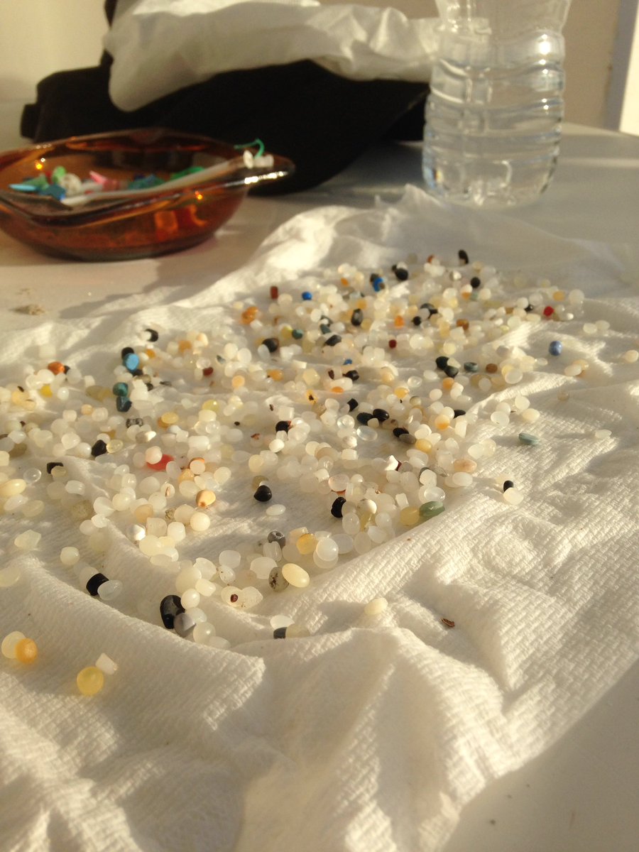 Tedious process but well worth it. Hand picked nurdles then sorted and dried #MakingMarinePlasticExtinct #NurdleOrNothing #Nurdle