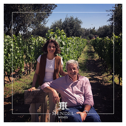 MendelWines's tweet photo. Anabelle Sielecki y Roberto de la Mota recorriendo nuestra antigua plantación de Malbec. https://t.co/PpPBV92OaD
