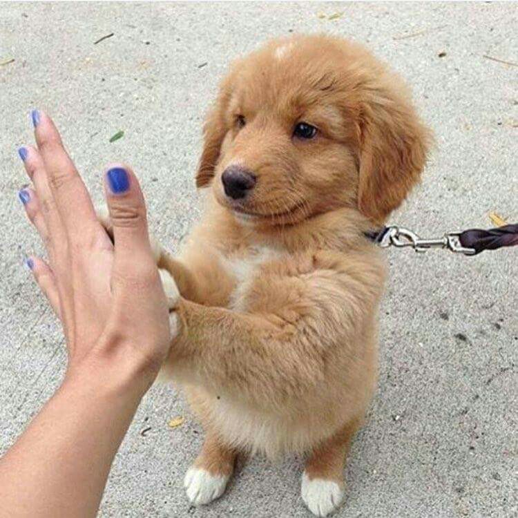 Double high five!  #FridayFeeling