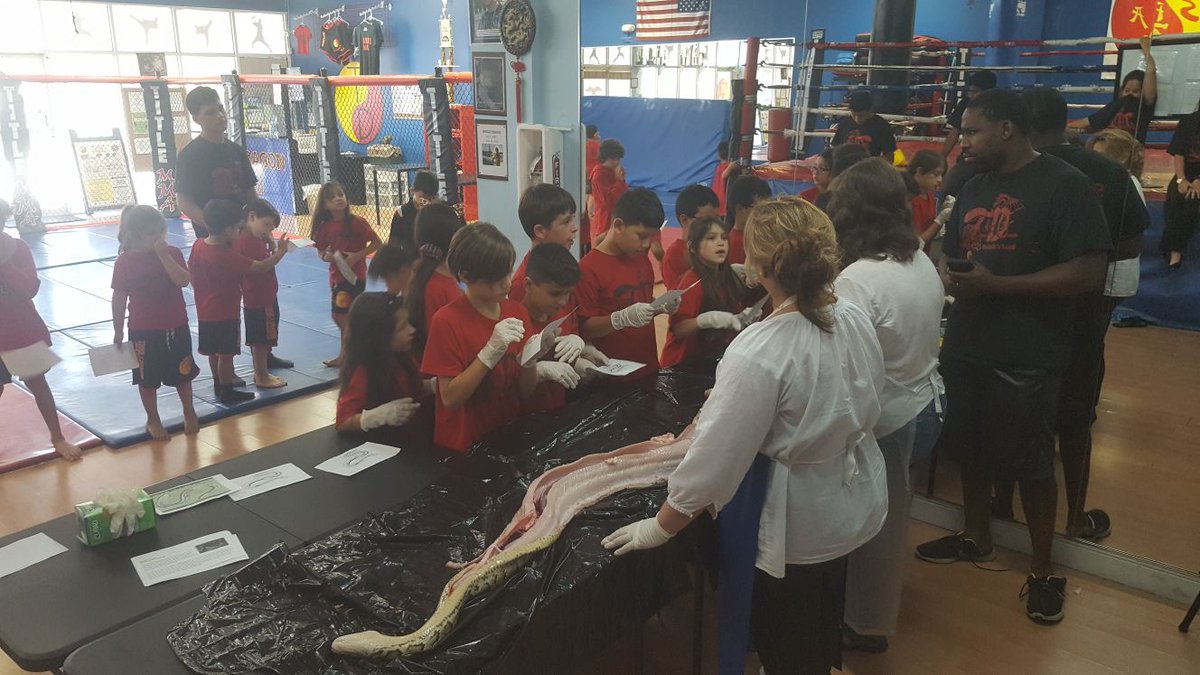 Adam Mack MS.Ed tweet media