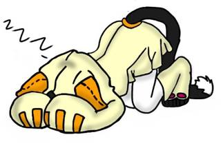 Nighty nigh~~~