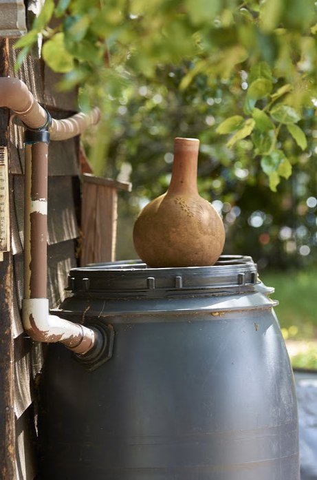Where can you find grey water systems, chickens, ducks, aquaponics, and a solar powered washing machine? The Edible Garden Tour, of course!
