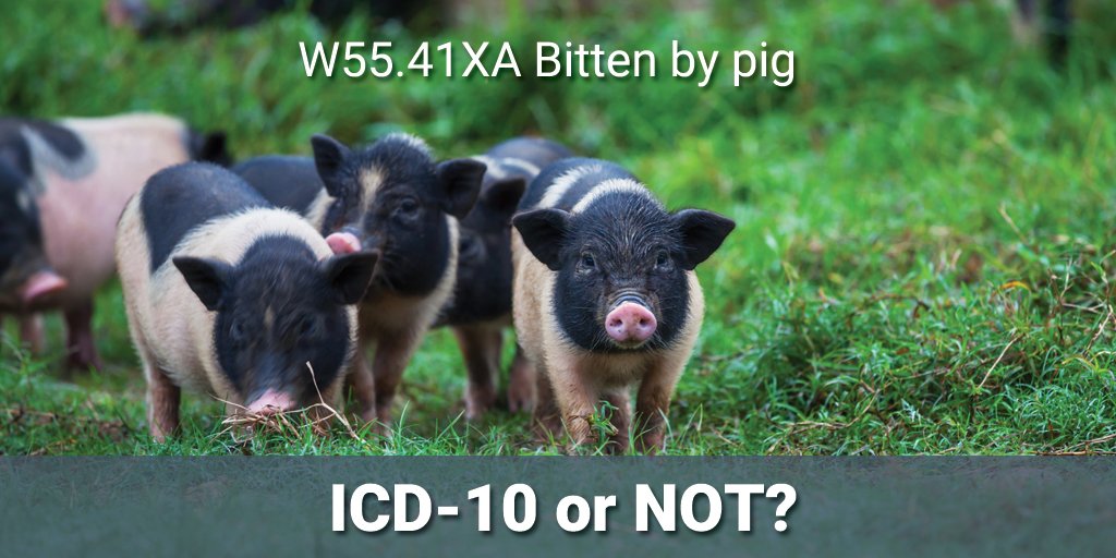 EveryICD10's tweet photo. Think you know #ICD10? Test your knowledge in 'ICD-10 or Not?'  https://t.co/7K9rhQQPiQ https://t.co/OZ99Wn6ULB