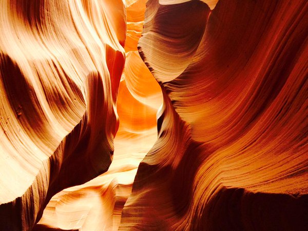 Exploring tweet media