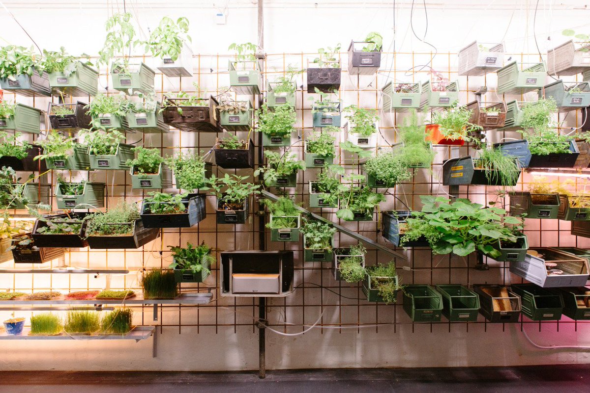 This week's edition: GE's #AI workforce, groceries w/ vertical farms &amp; digitally regenerating faces using brainwaves bit.ly/2tyO3bZ