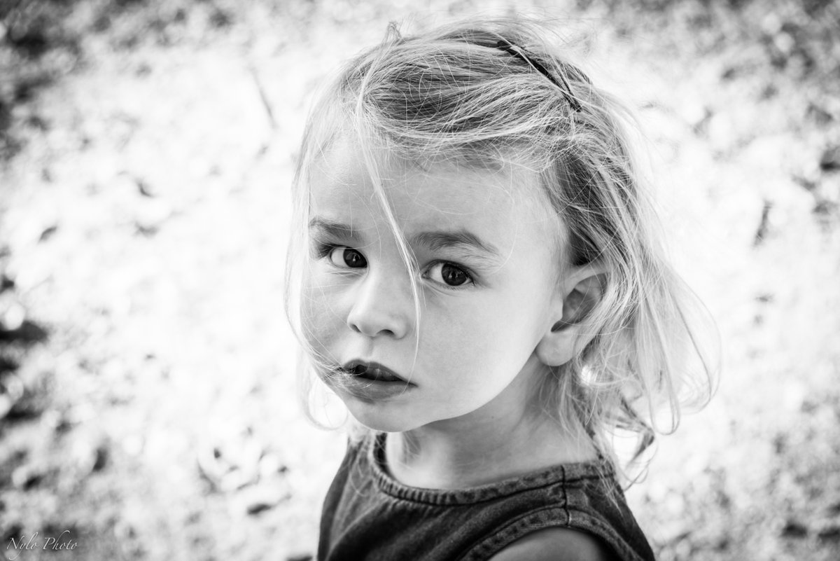 nyludo's tweet image. 