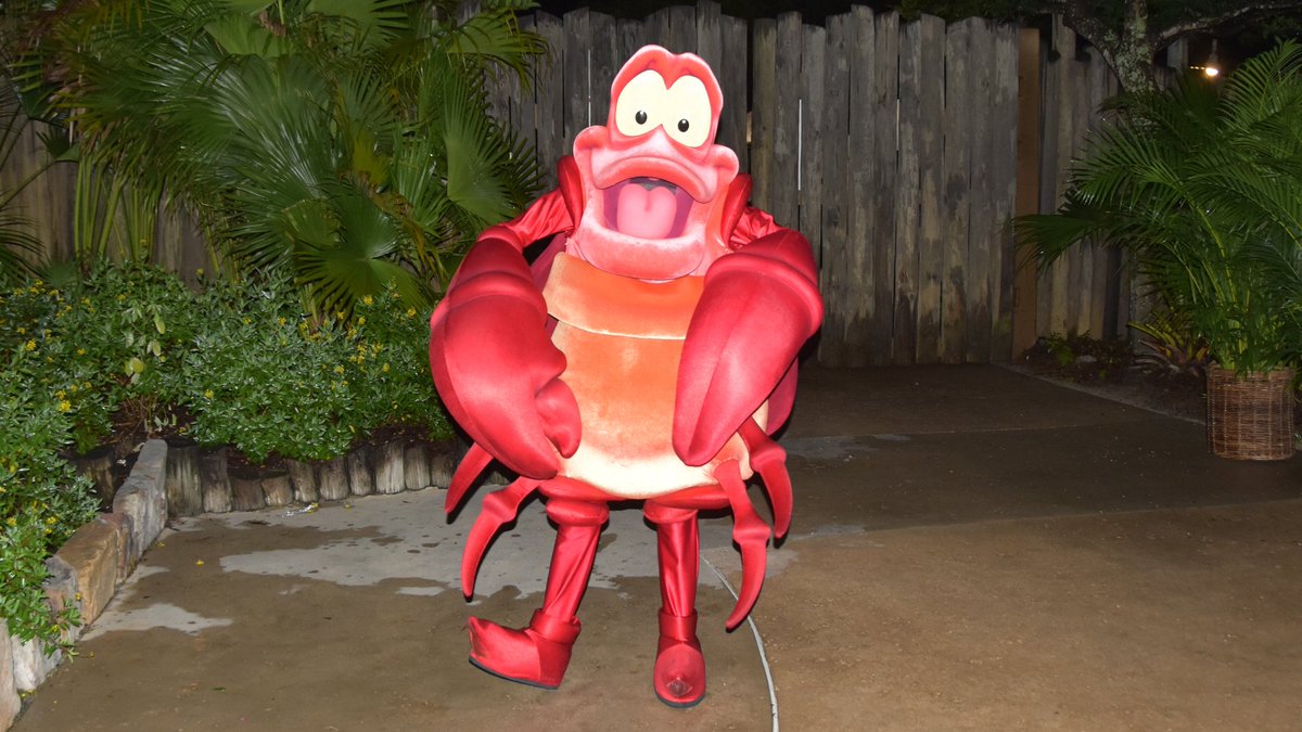 JeffLangeDVD's tweet photo. NEW VIDEO: Sebastian The Crab Meet &amp; Greet at #TyphoonLagoon #DVCmember Moonlight Magic https://t.co/16OO9uQh2N #littlemermaid #DVC #Disney https://t.co/o46lvkU39n