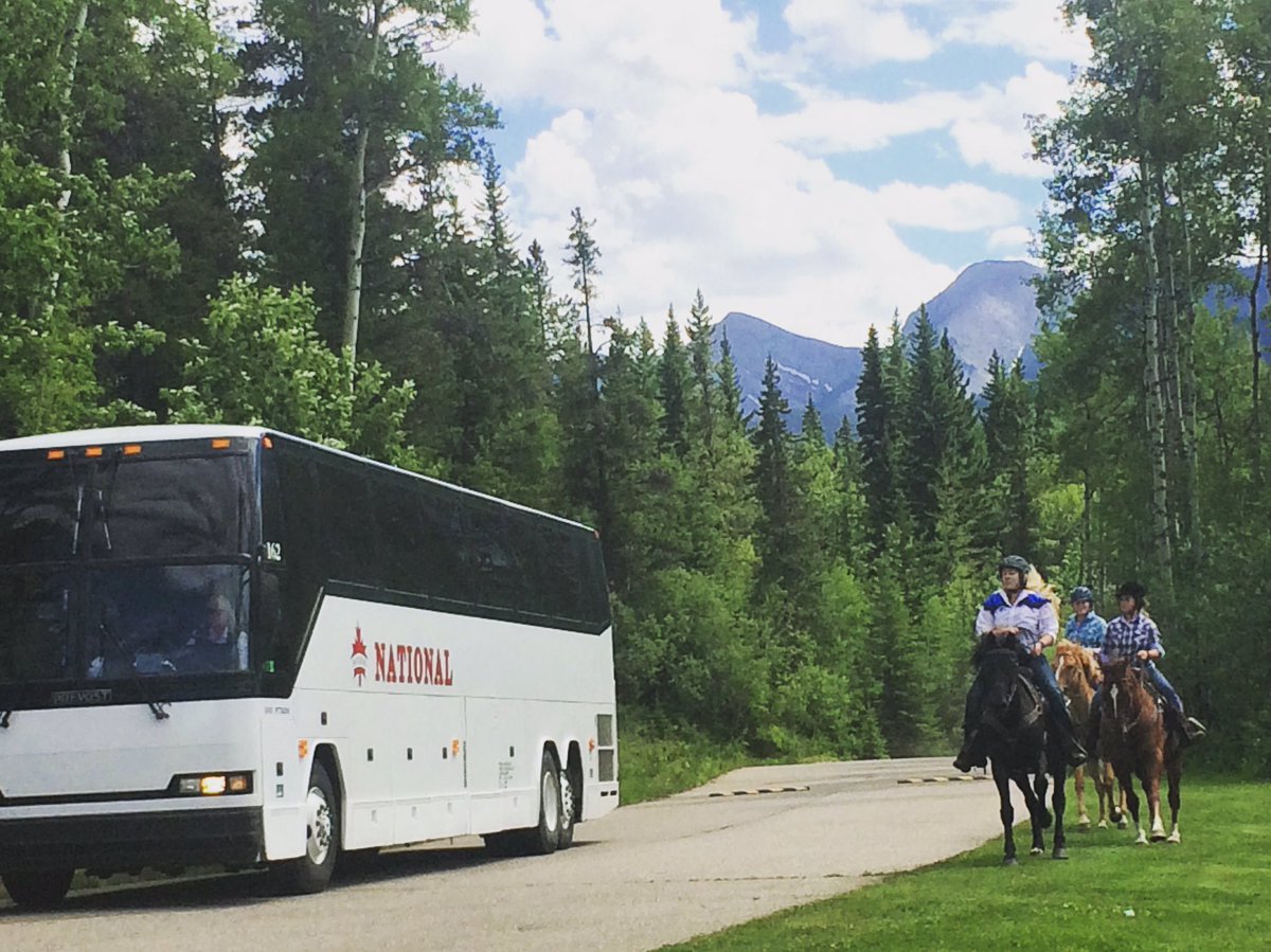 THCR1991's tweet photo. Campers have arrived and #wranglers were there to say hello! #welcometocamp #campisgood https://t.co/EGB1Y1pQYB