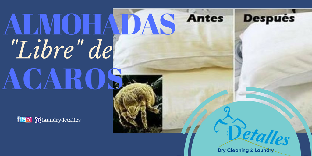 LaundryDetalles's tweet photo. ☎️78325973
#laundryinantigua
#AntiguaGuatemala https://t.co/2E0lSGydEL