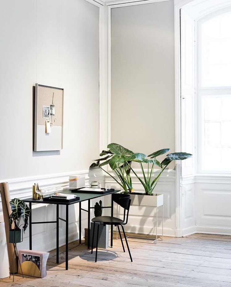 hollykyoung's tweet image. High ceiling work space. Beautiful monotones #plants #interiordesign