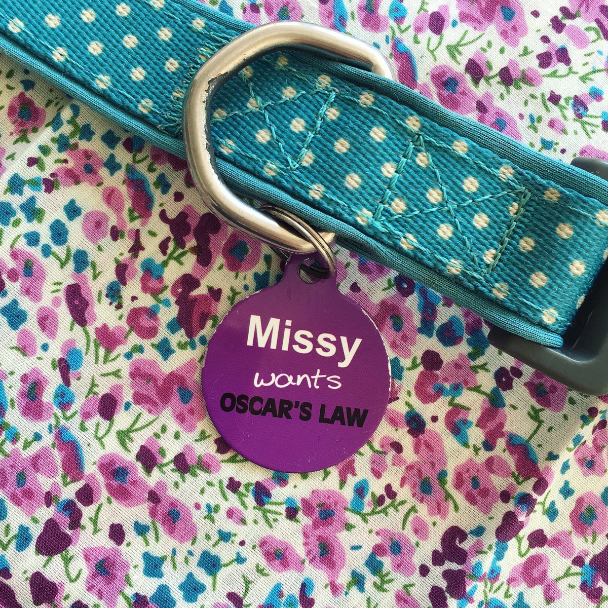 Today marks the official anniversary of Oscar’s ‘Gotcha Day’. To mark the occasion <a href="/IdPetAustralia/">IdPetAustralia</a> <a href="/KatThomson78/">IdPetAustralia</a>… instagram.com/p/BV-s0puguAG/