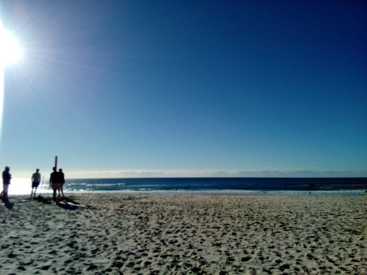 Rose Coppard tweet media