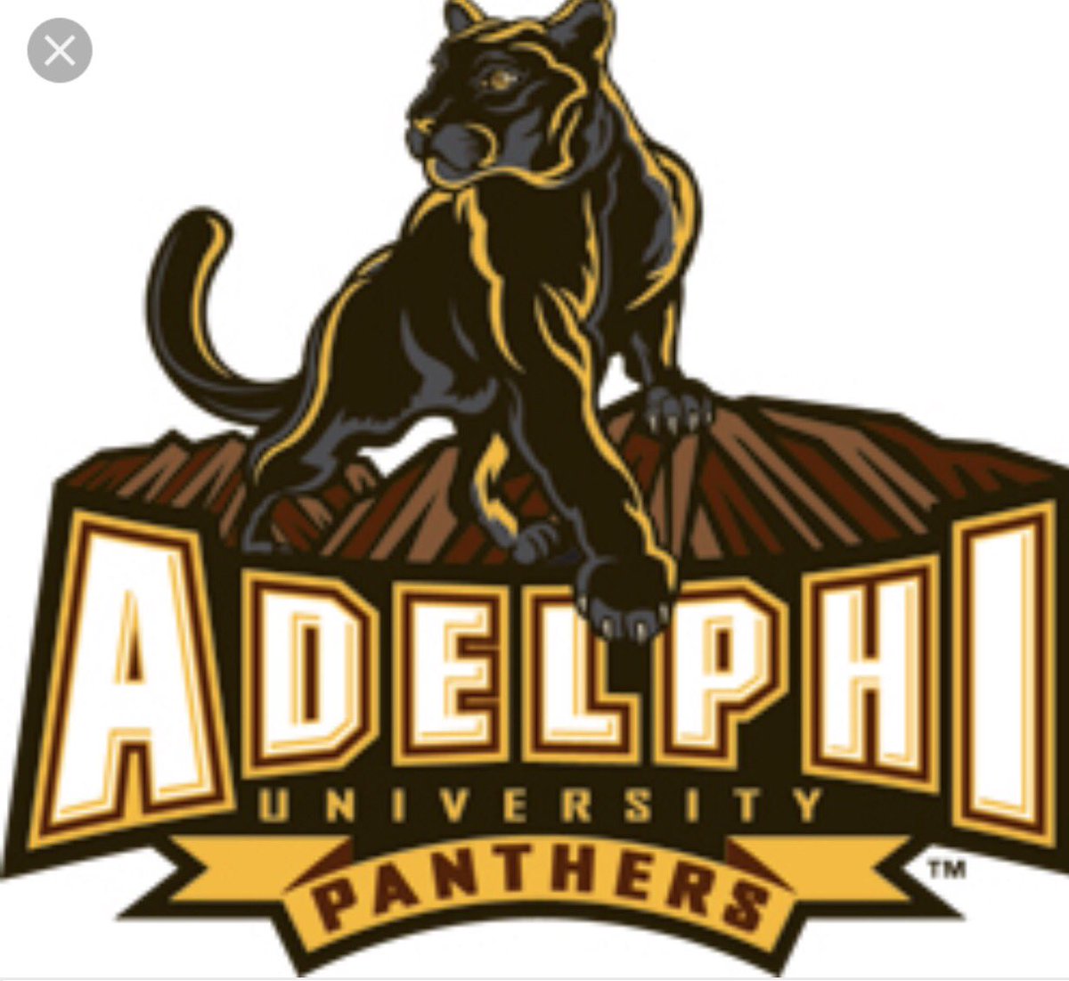 coopjohnson_32's tweet photo. I am blessed to announce that I will be  Committing to Adelphi University to continue my athletic and academic career⚾️‼️ @AUPanthers https://t.co/beGRHsDV4k