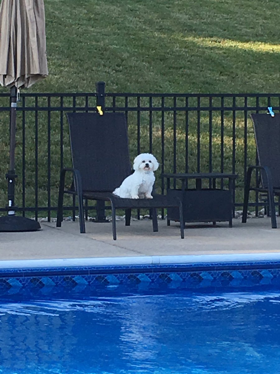 LeffingwellDan's tweet photo. When it's Friday night and it's not football season and your kids are all grown up!! #notfridaynightlights #meandmacy #notbad #defdifferent https://t.co/Np4mRtFqVM