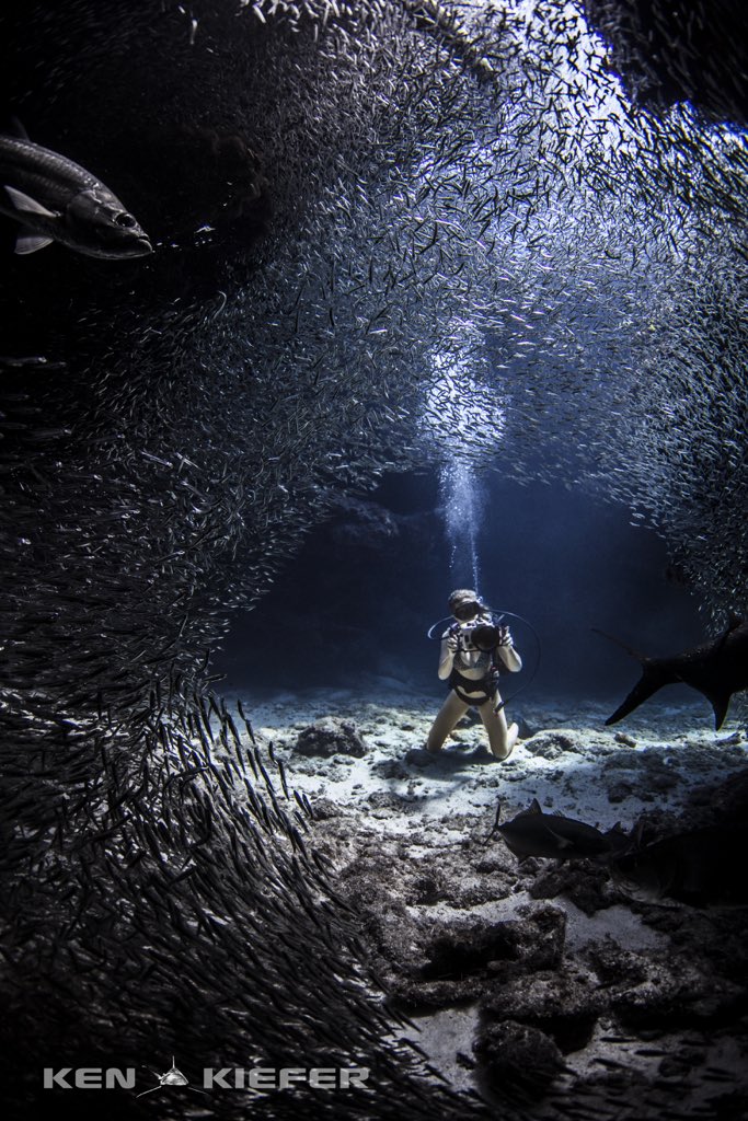 Ken Kiefer (@kenkiefer2) on Twitter photo 