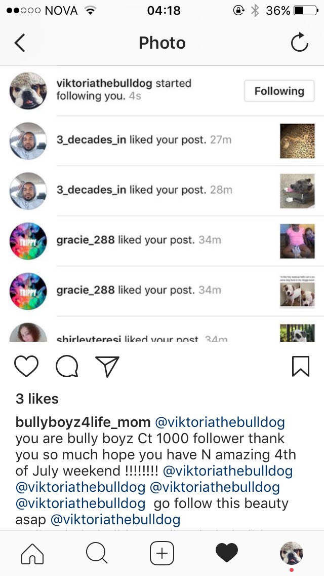 Hehe hundurinn minn var að fá svo geggjað shoutout