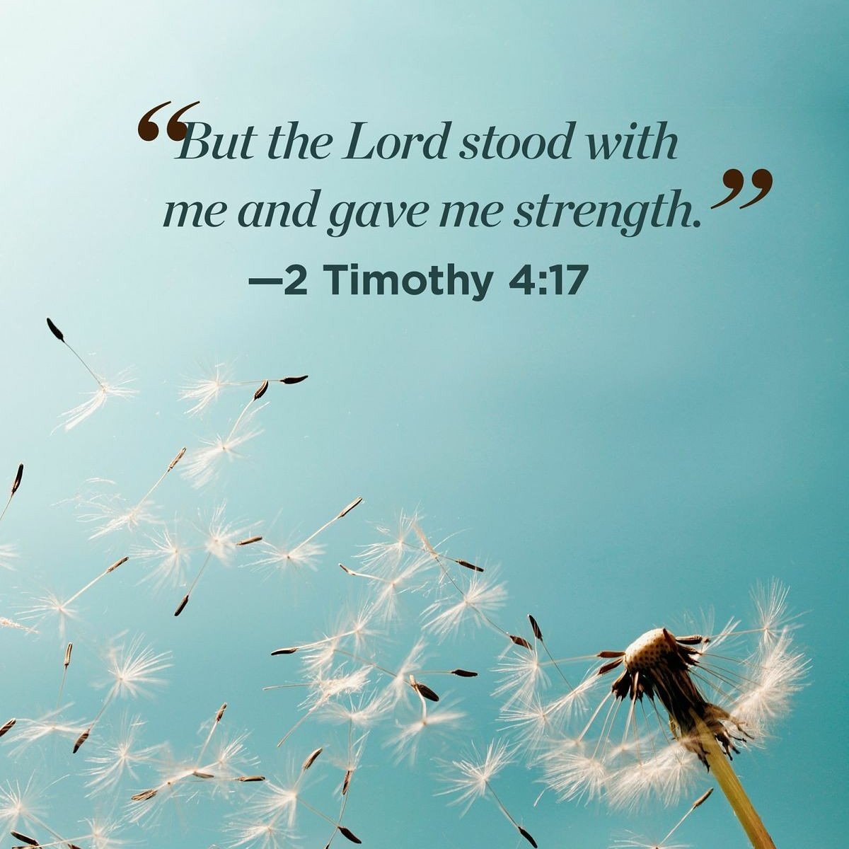 richlyblessed4's tweet photo. He's faithful! https://t.co/ObeHHMNL1q