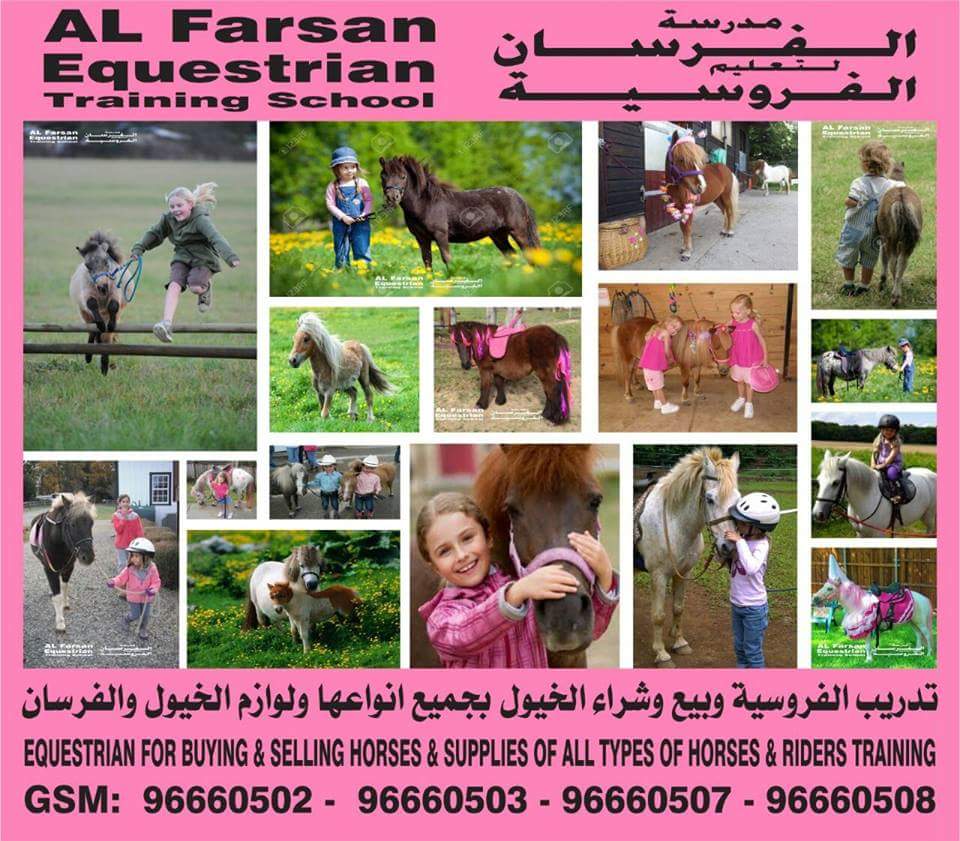 alfarsan1's tweet photo. السلام عليكم مطلوب مستثمر او شريك ممول فرد
0096896660508
رابط المدرسه والمشروع https://t.co/eRI0DuVR7e https://t.co/9tSvUXM9Zr