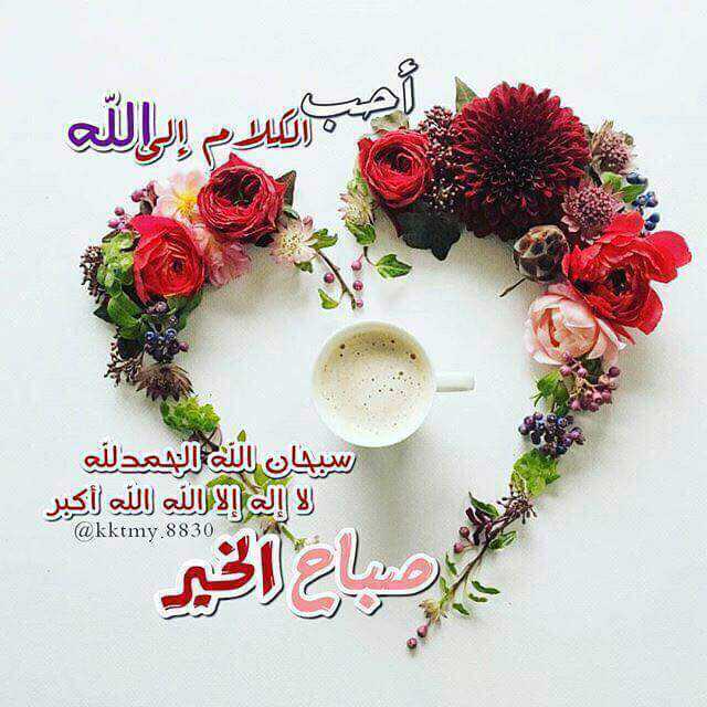 ali_zamq's tweet photo. صباح الخير https://t.co/LNElllguZu
