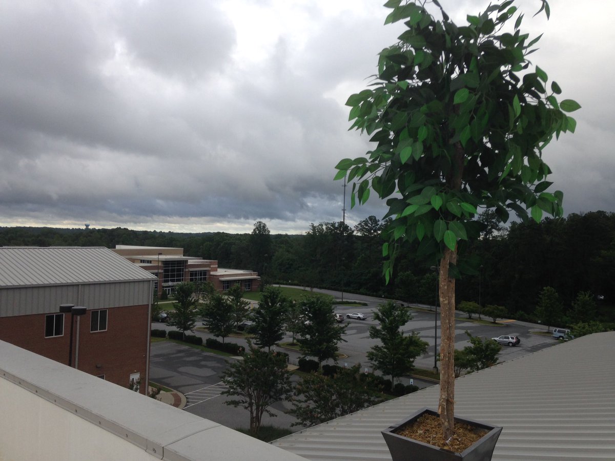 BaptistBirch's tweet photo. Now that is an IMPACT of a view! #MovingTree https://t.co/wDeiAr6Ob2
