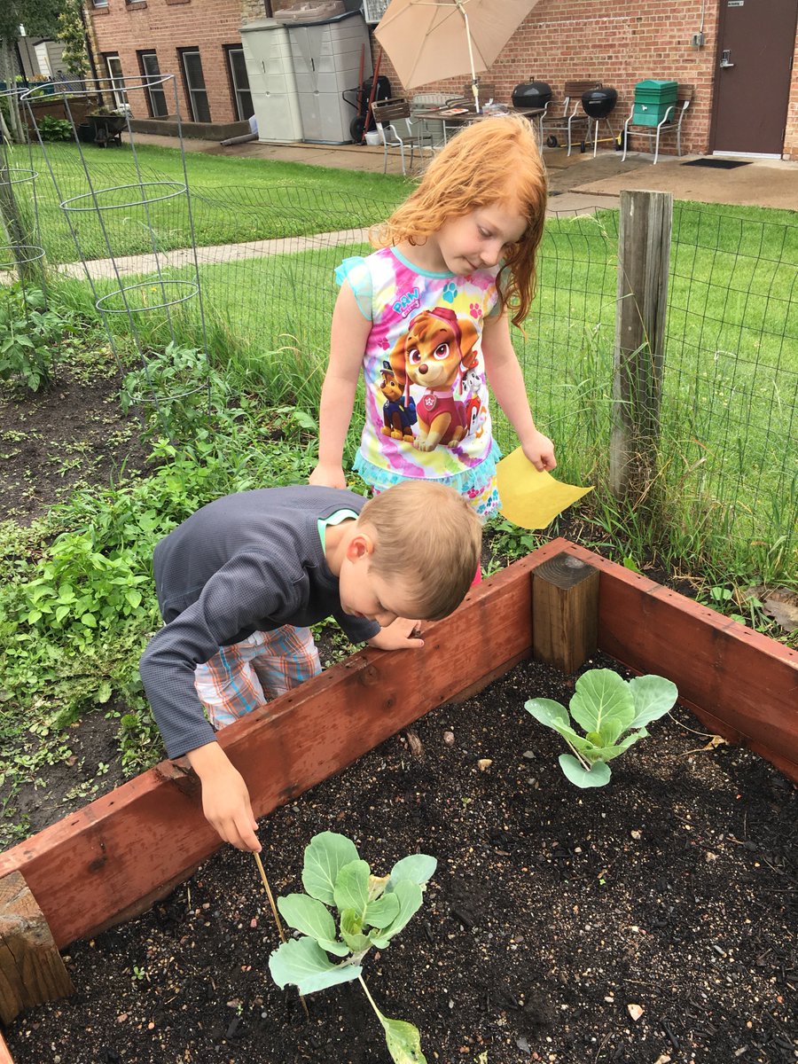 FareTable's tweet photo. Working on measuring and identifying our crops into our garden logs! #earlychildhoodedibleEducation #FareTable #SaintLouisParkMN https://t.co/Fsy13fiwKa