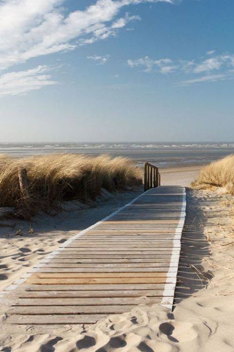 stevekrohn's tweet photo. Camino a la playa https://t.co/qY90EiSzrS