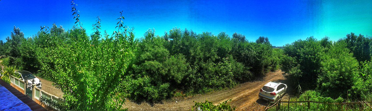 Gunaydin ✋🏻 (@ SiM sitesi 🏠 @aYcİbİn home-/Kumbaba in Şile, İstanbul) swarmapp.com/c/k62bXHeKH3V