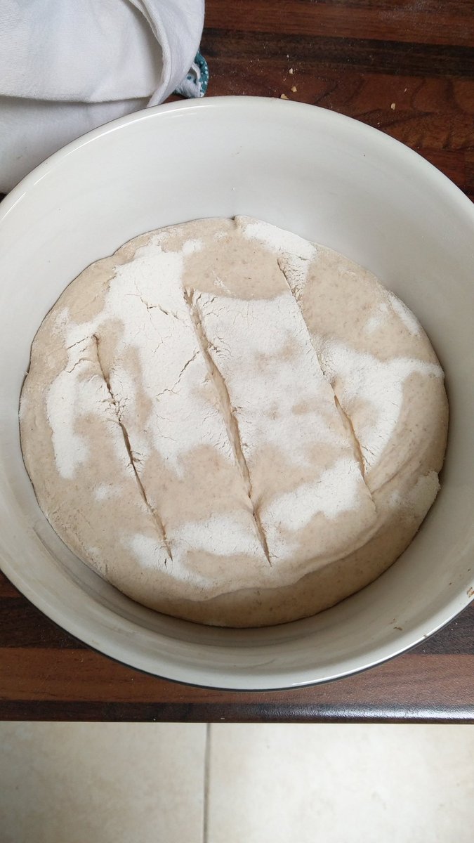 AlanHayesDublin's tweet photo. #Breadly - it's bread, but it's deadly 😂

@RiotRye The Revolution may not be televised, but it'll defo be on Twitter. https://t.co/JSwgWLVXb5
