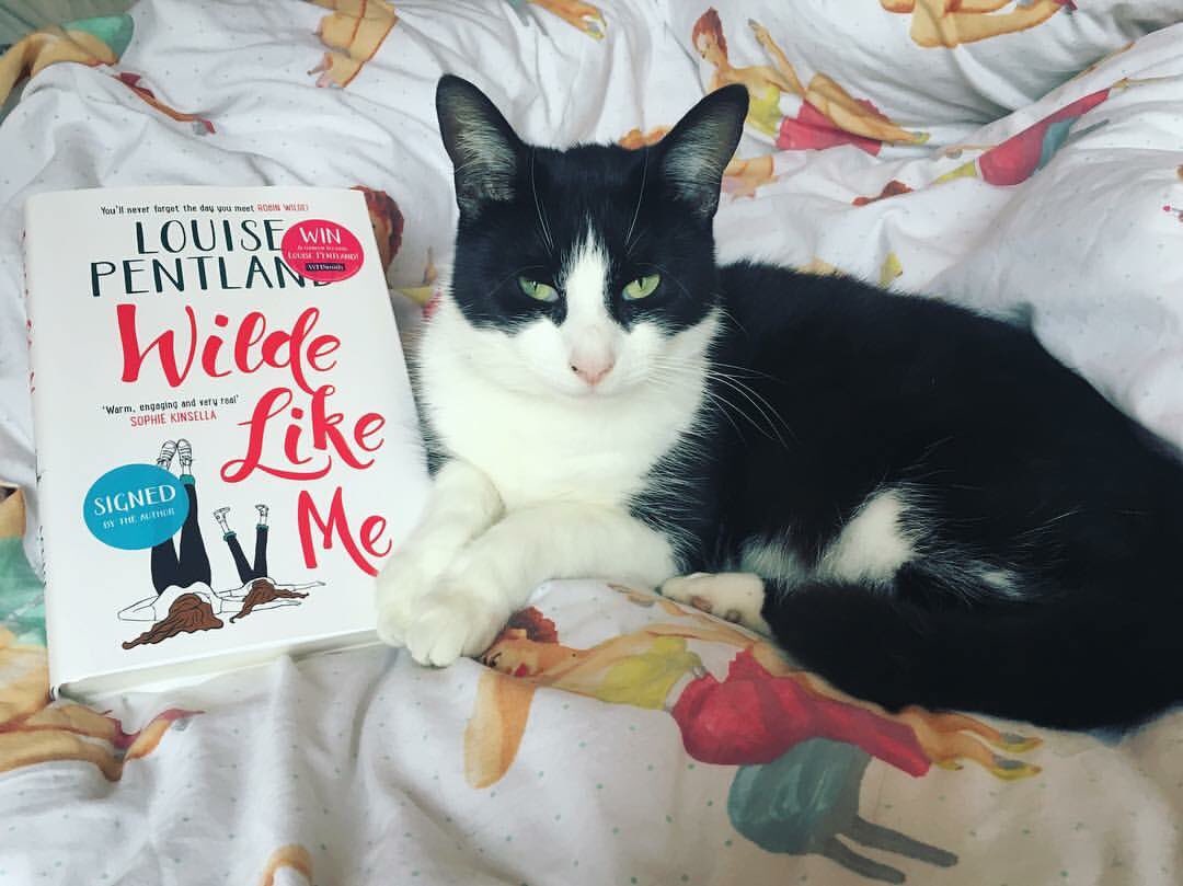 beth_seddon1's tweet photo. Saturday morning, kitty cuddles and @louisepentland's new book! What more could you want? 🐱📖💕 #wildelikeme #robinwilde #louisepentlandbook https://t.co/pLttQr6vJN