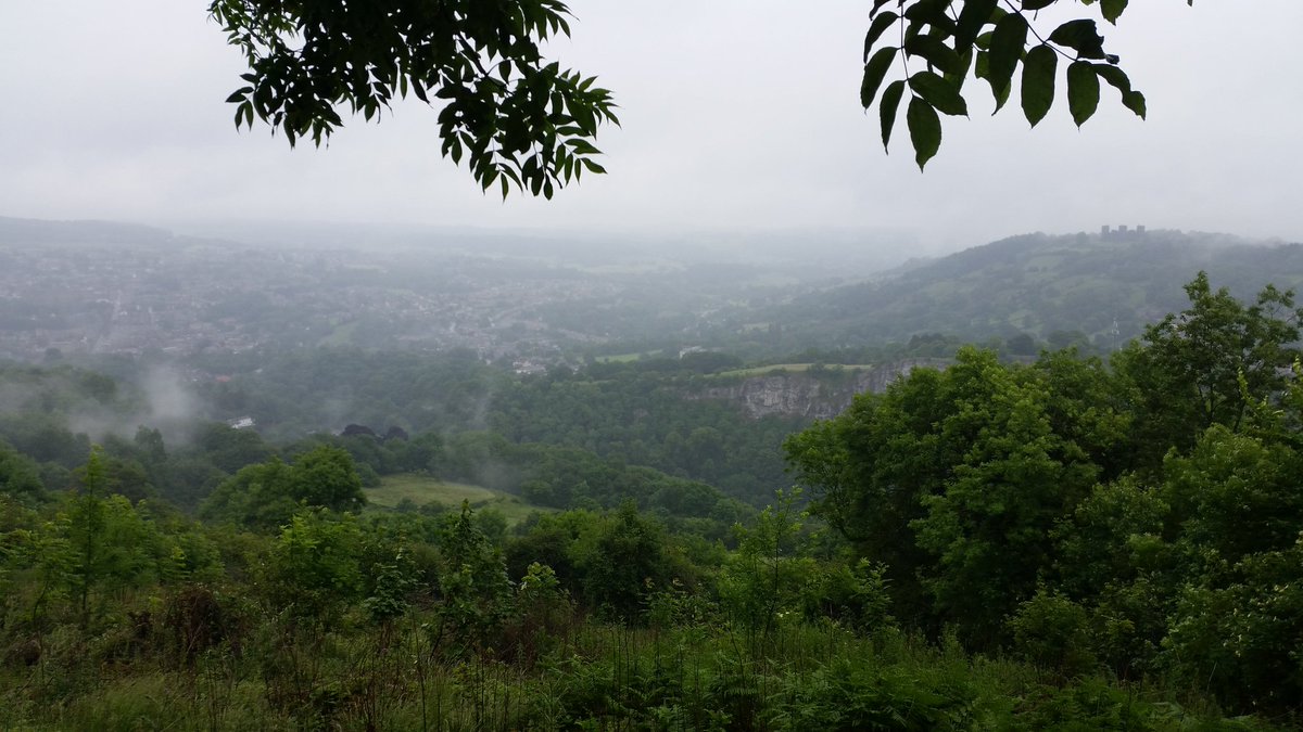 Just a bit wet. Raincover on the the camera please.