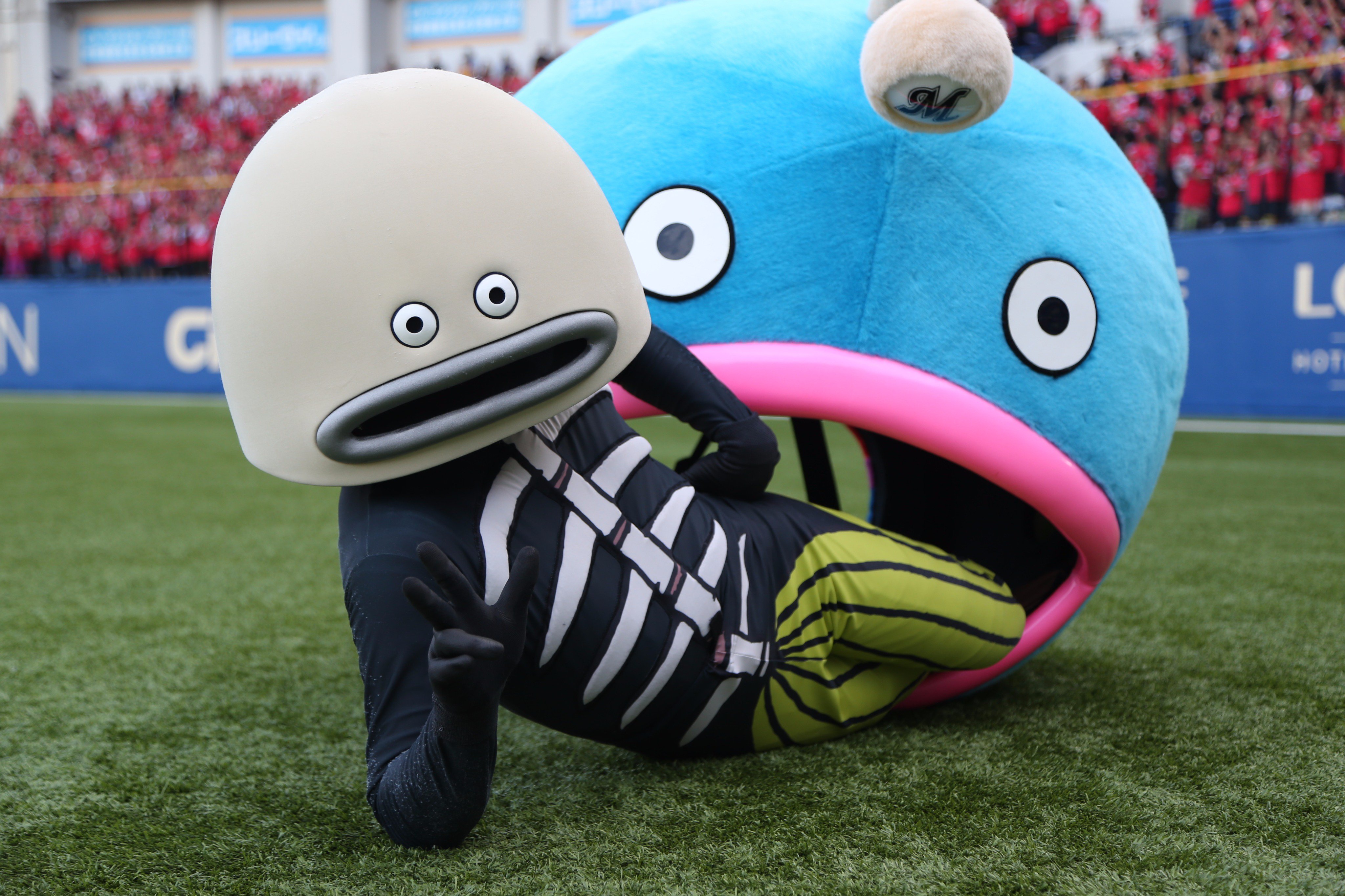 Boccory Boccory8 Twitter