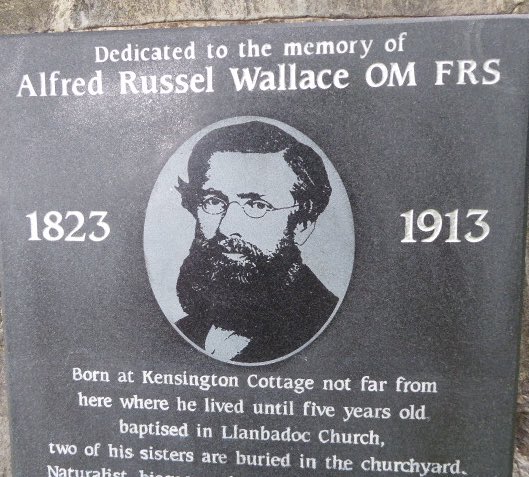 BarbaraDaniels6's tweet photo. July 1st 1858: papers on #evolution by #Darwin and Wallace (born near Usk) presented at the #Linnaean Society ... https://t.co/4jef3P2Dy1 https://t.co/ii5QBZvSRz