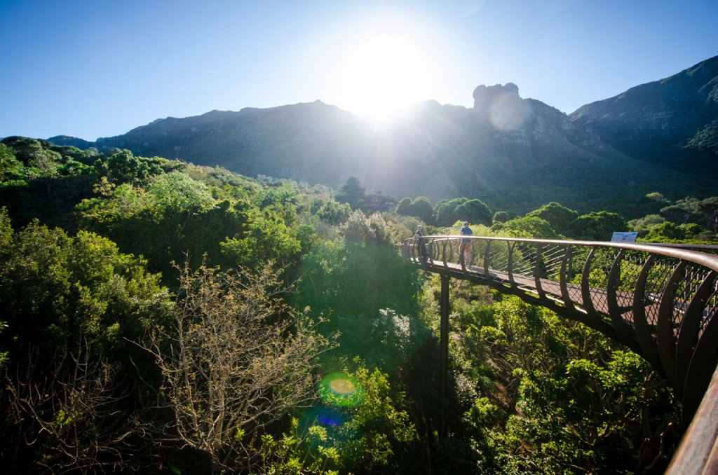 Cape Town Big 6 tweet media
