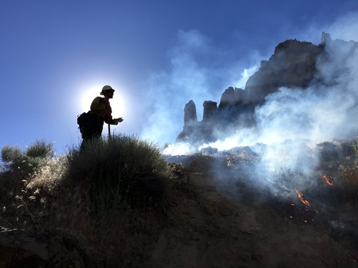 AltaHotshots's tweet photo. Burning out to keep the topographic advantage. Cole Creek fire, Elko NV. https://t.co/PzX12d9a6J
