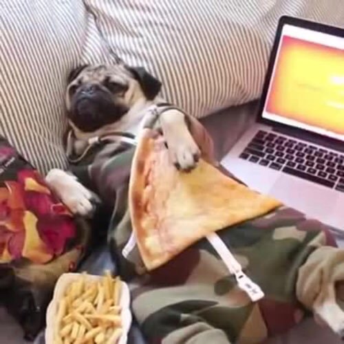 Beyunsei's tweet photo. This is probably gonna be me this summer https://t.co/1ebuYCymdE