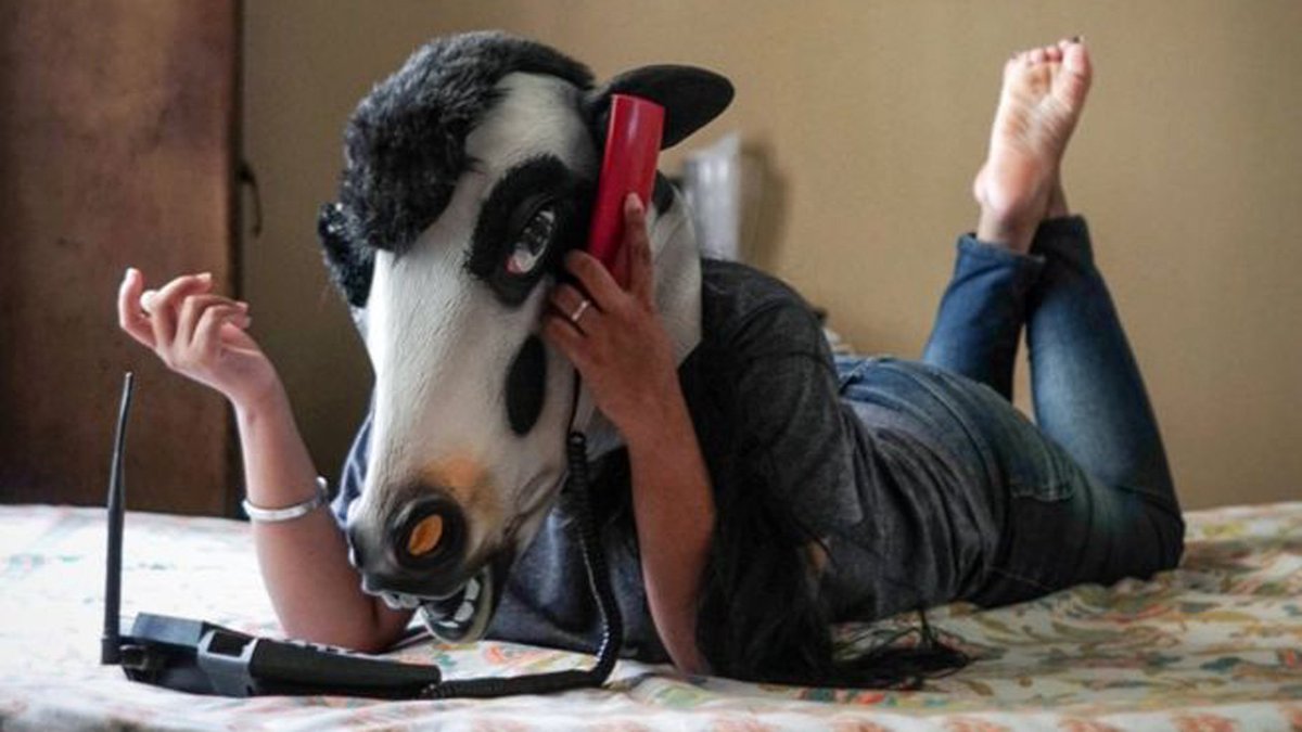 DailyO_'s tweet photo. What if women were treated like cows in India? | @VichitraAmar | https://t.co/fke80EBgWa https://t.co/MVdkRPtw2O
