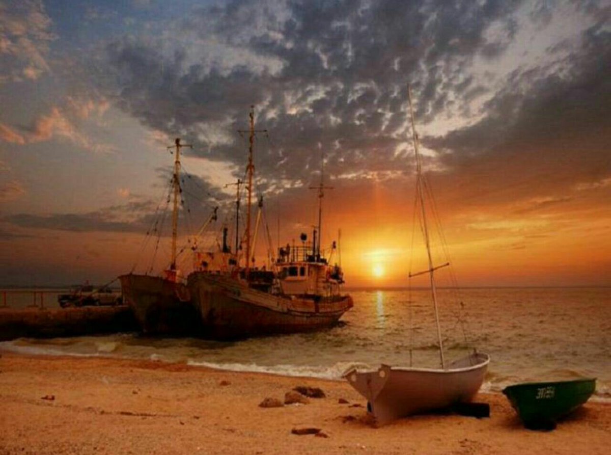 صبااح جديد بَ ابتسامہ أمل'
    ف أصبحناا وأصبحُ الملڱ للہ ..
     يا رب ازرع فيَ قلوبنآ رآحہ
    دٱائمہ ﻭامل لآ يخيب

#مملكه_فواز_للدعم