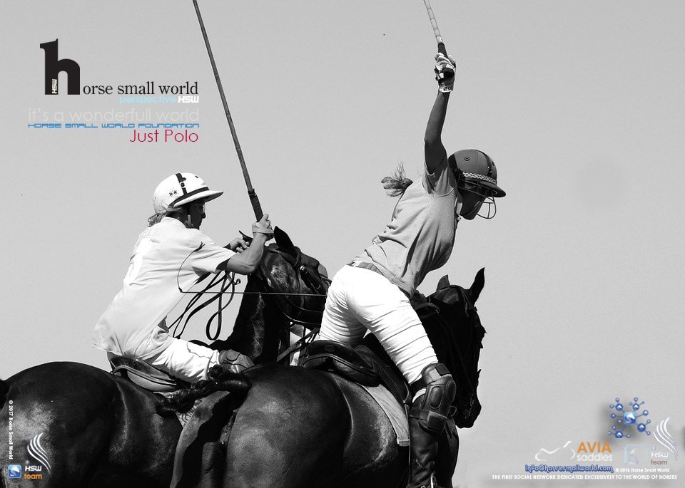 Horsesmallworld's tweet photo. it's a wonderfull world - perspective HSW - HSW Foundation- 2017 - Just Polo https://t.co/O73QrPV5eW