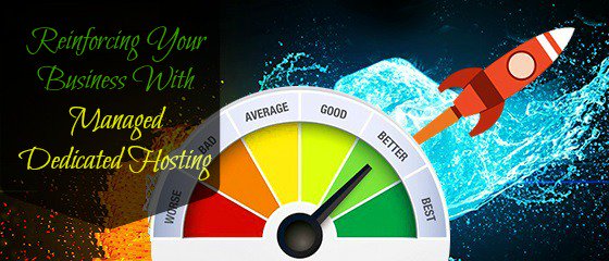 DialWebHosting's tweet photo. #Managed #Dedicated #Hosting can take off a good deal of load of your shoulders.
https://t.co/fY0mrebbUJ

#UnmanagedHosting #DisasterRcovery https://t.co/wnm2ZYpl49