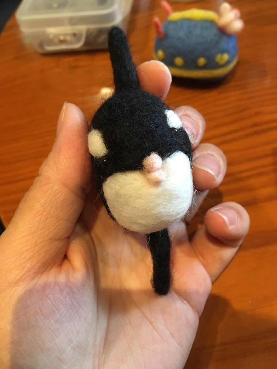 Chiaki ウミウシ写真展 きしわだ自然資料館2 27 3 28 Auf Twitter できた 嫁ぎます O O 羊毛フェルト シャチ マンボウ オーダー ハンドメイド ウミウシ と共に Needlefelting Killerwhale Oceansunfish Madetoorder Handmade Seaslug T Co Chiaki ウミウシ写真展 きしわだ自然資料館2 27 3 28 Auf Twitter できた 嫁ぎます O O 羊毛フェルト シャチ マンボウ オーダー ハンドメイド ウミウシ と共に Needlefelting Killerwhale Oceansunfish Madetoorder Handmade Seaslug T Co