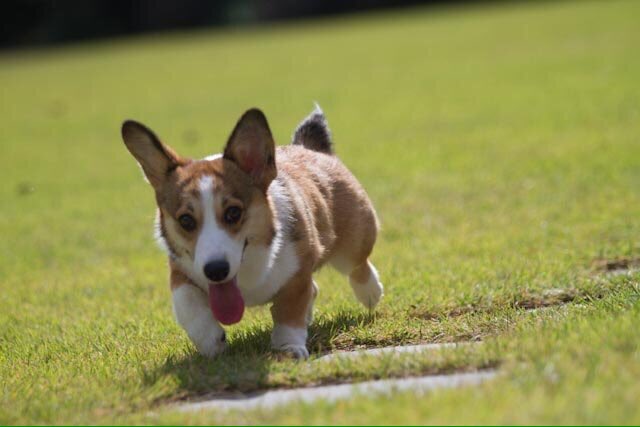 KarlyMin501's tweet photo. Es tan linda JR πΈ #WelcomeParkJungMin https://t.co/ijofnmiuxX