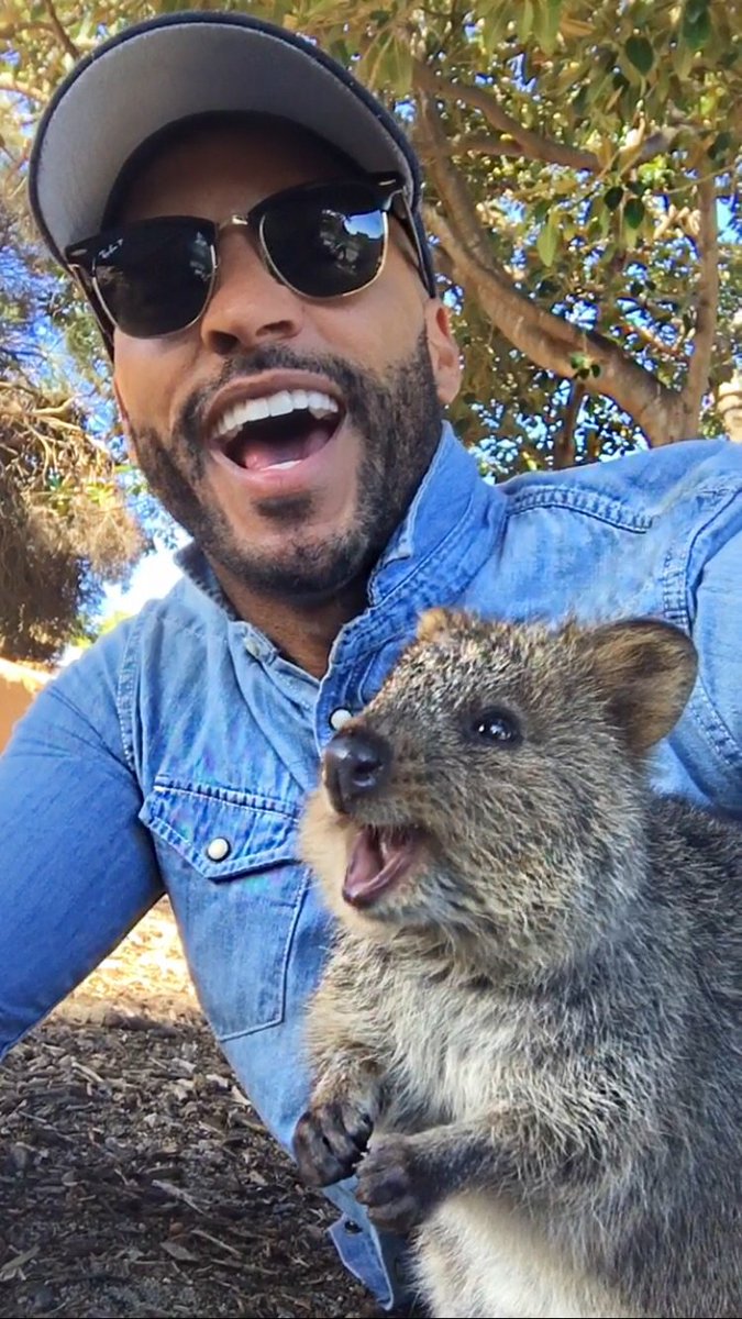 MrRickyWhittle's tweet photo. My buddy Larry the Quokka got jokes, oh how we laughed😂🇦🇺 #perth #loveanimalsmorethanpeople #sorryimnotsorry https://t.co/tjOsqVuaB6