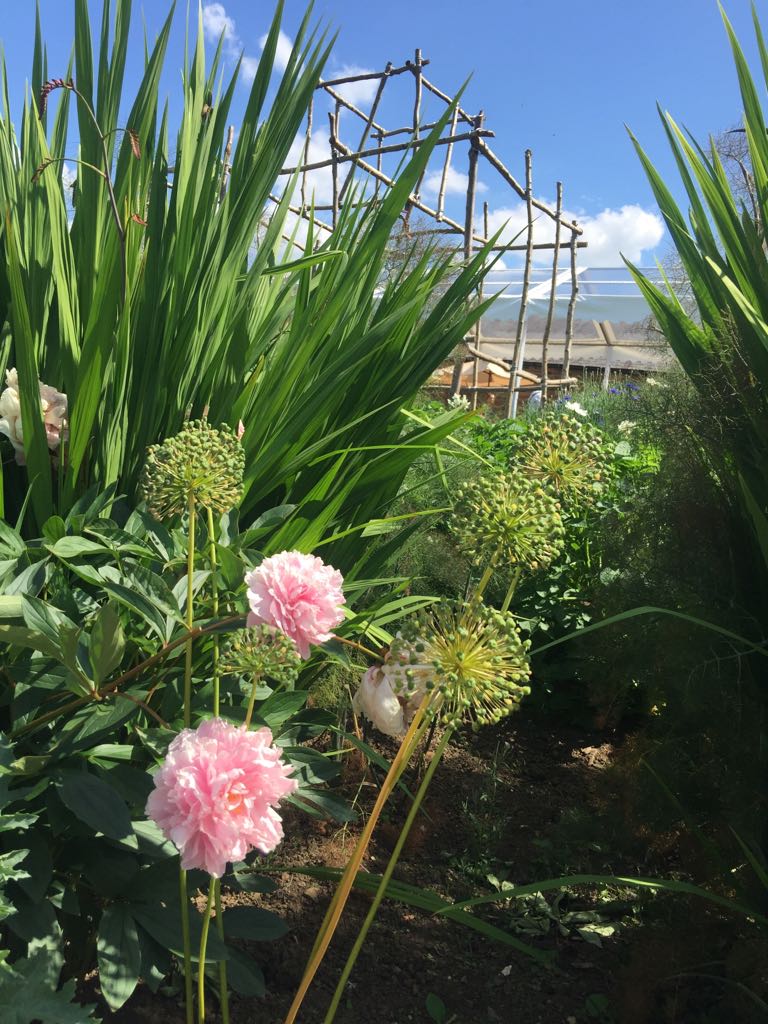 soveralskincare's tweet image. What&apos;s your fondest #scentmemory? #saturdayscent #scentidentity