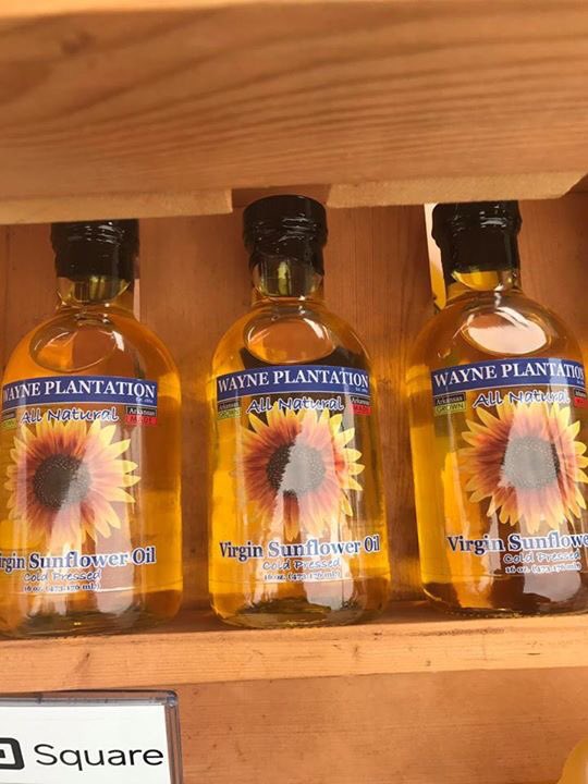 wayneplantation's tweet photo. Remember to return your clean bottle today at Dogtown Farmers Market for $6.50 refill! Heart healthy NuSun cooking oil 🌻 https://t.co/oAgJUsjySH