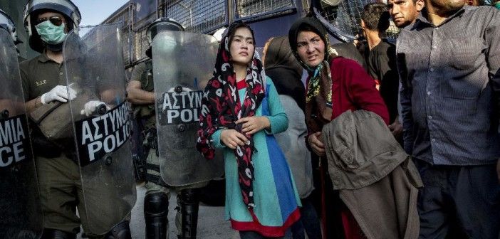 Humanosphere tweet media