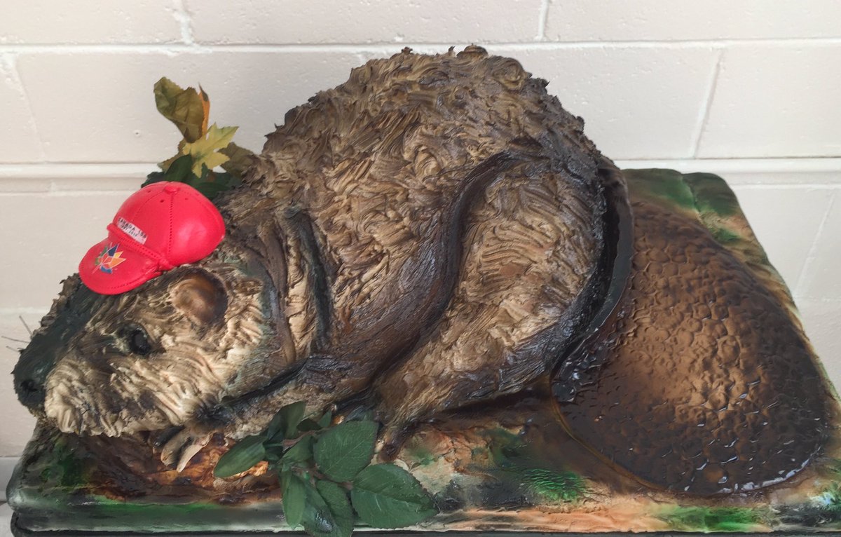 cakebreakmedhat's tweet photo. Head down to kin coulee for the cake contest and have some cake ! Our donation this year #Canada150 #medhat #cake  #kin coulee #contest https://t.co/JQ0gzfBrF6