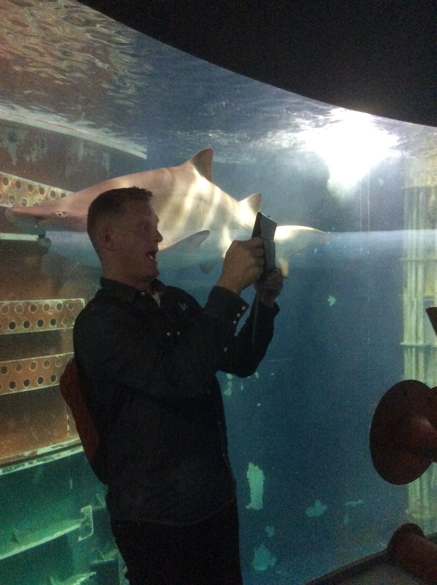 Selfie de requin <a href="/GrandAquarium/">Grand Aquarium</a>